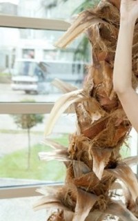 Шлюха Маша 11738