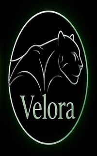 Шлюха Velora 47095