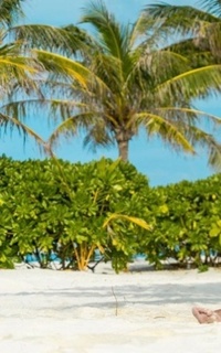 Шлюха Лика 35767